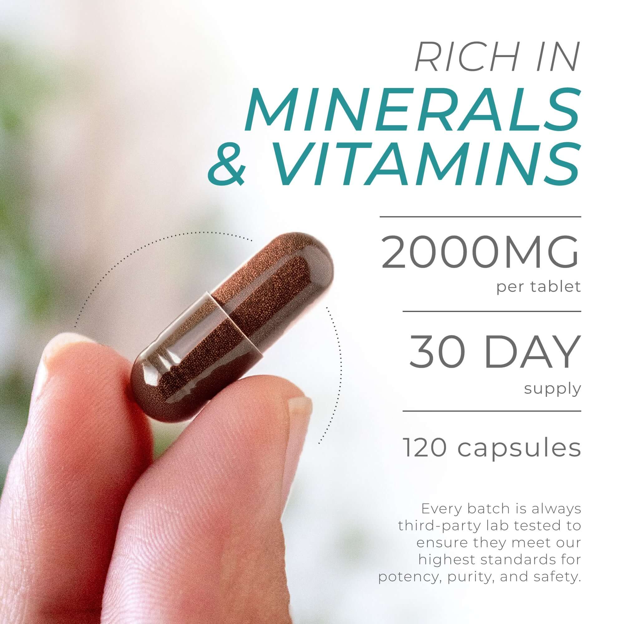 Sea Moss Capsules
