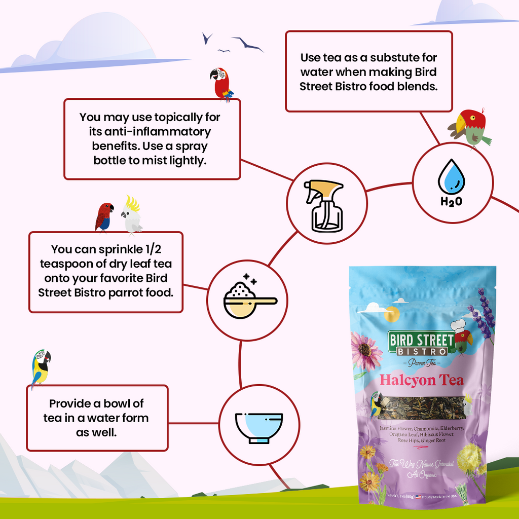Halcyon Parrot Tea