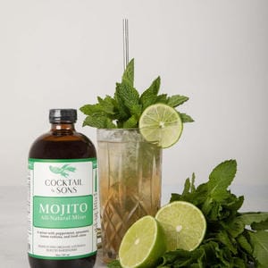 Mojito Mixer | Cocktail & Sons | All Natural Cocktail Mixers (16oz)