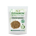 Yuvagrow Horse Gram