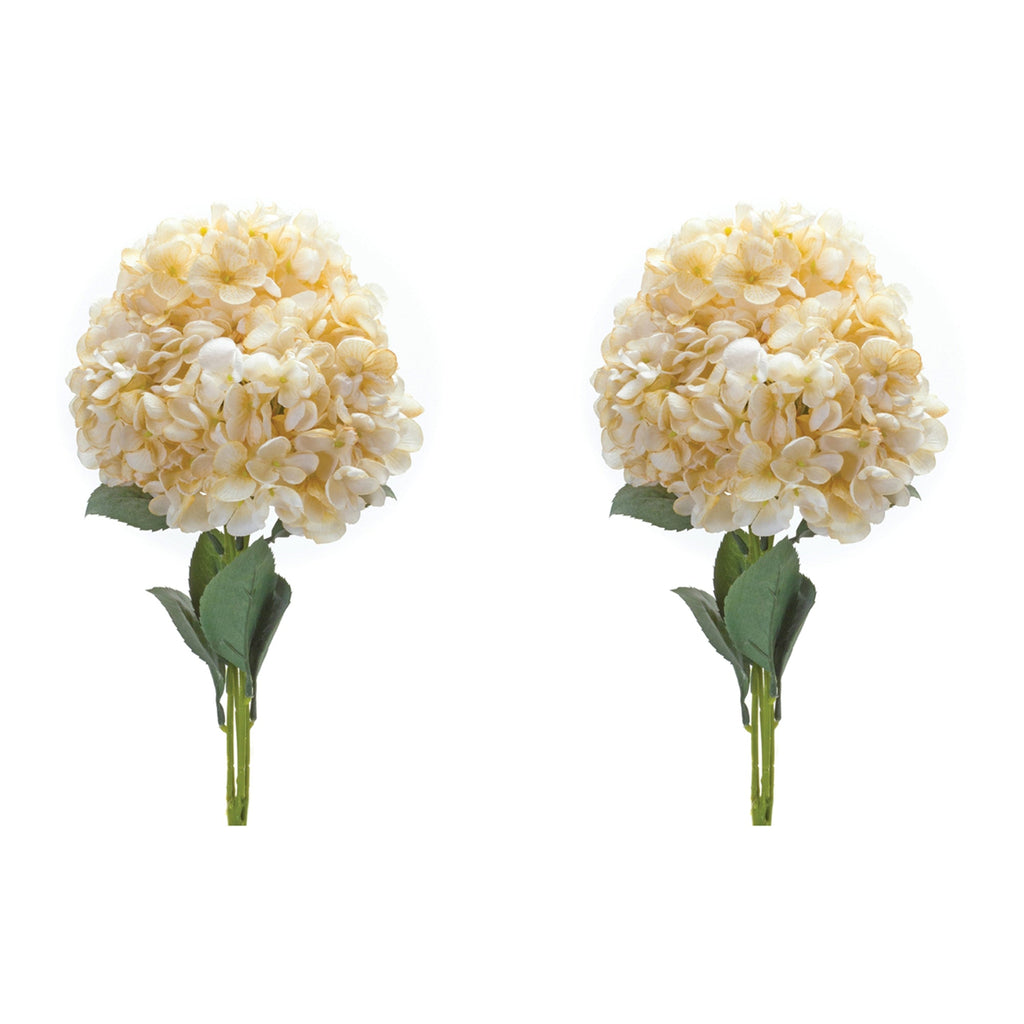 Set of 2 Charming Hydrangea Blooms