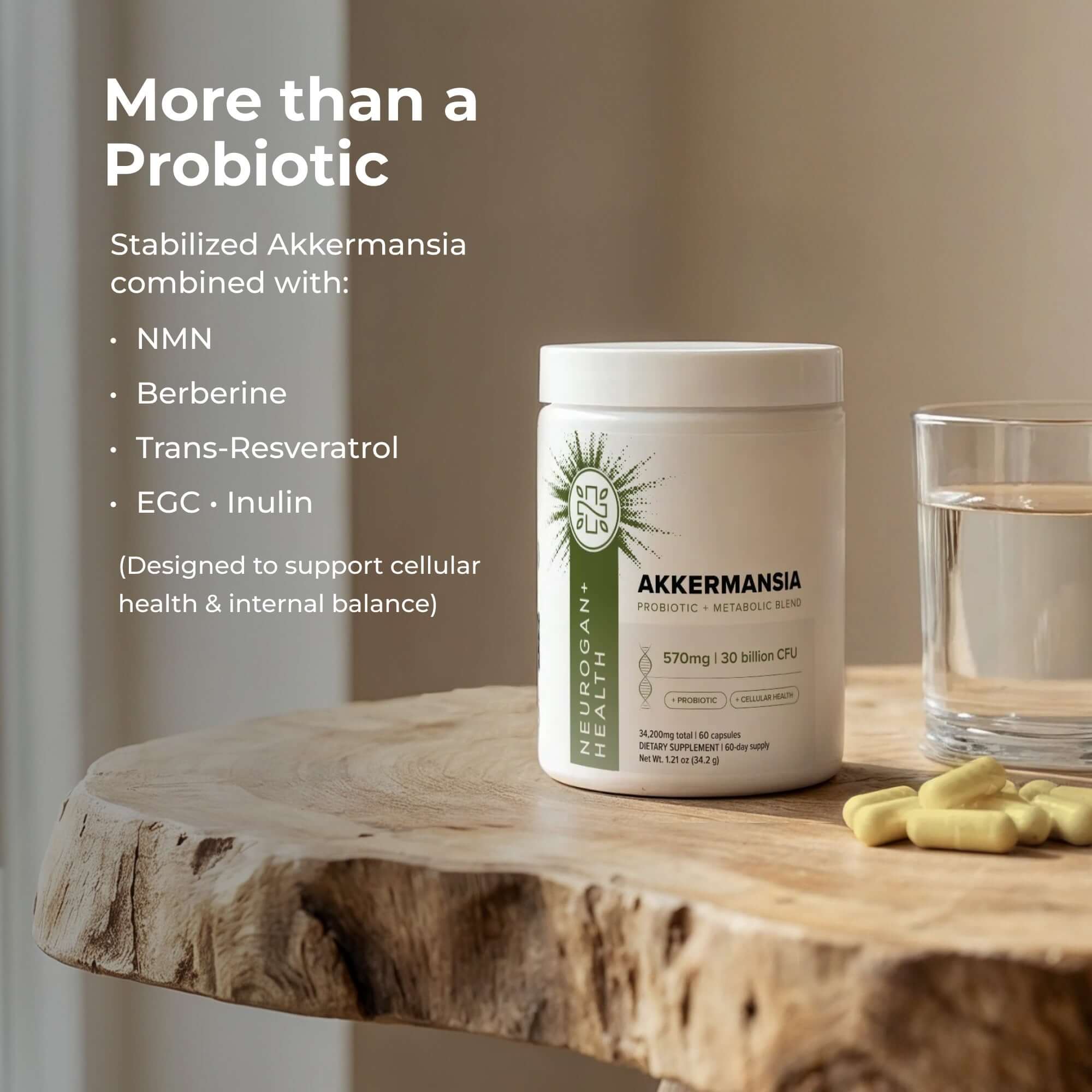 Akkermansia Probiotic