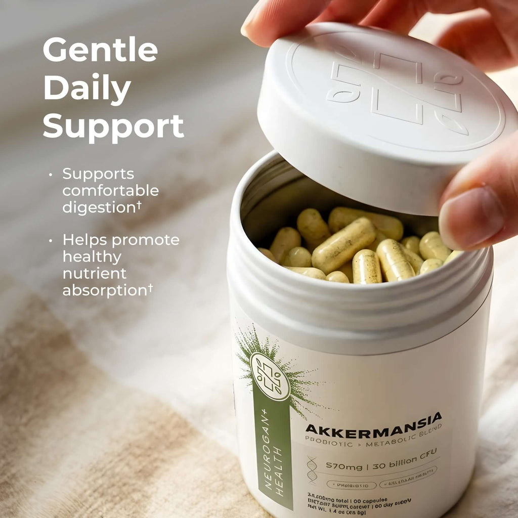 Akkermansia Probiotic