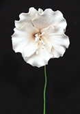 Azalea - Single with Wire -White 24 pieces