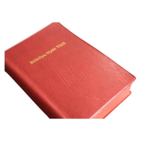 BIIBILYA NYEE TILTIIL: Sabaot Bible