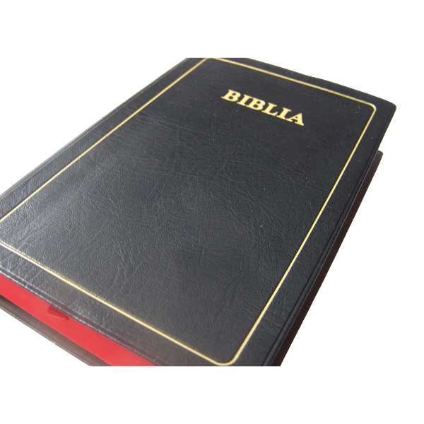 BIBLIA: MAANDIKO MATAKATIFU (Union Edition): Swahili Bible