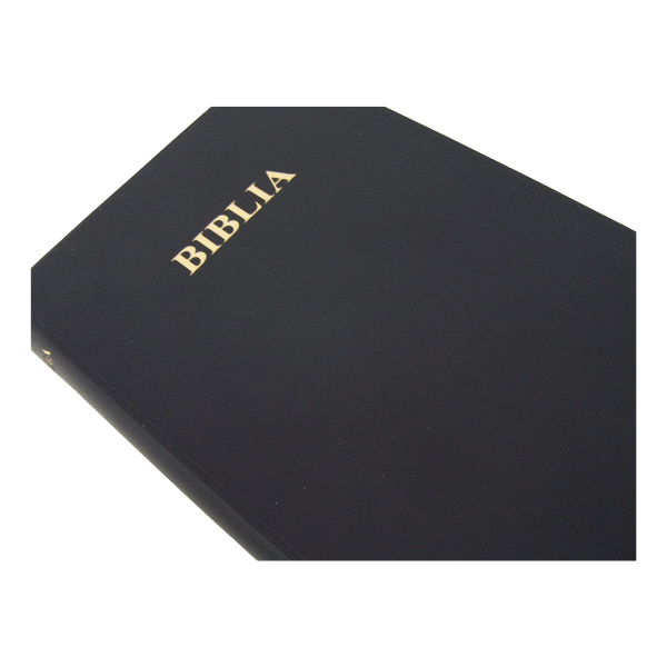 BIBLIA : SWAHILI BIBLE (Union Edition)