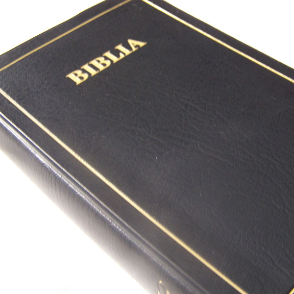 BIBLIA: MAANDIKO MATAKATIFU (Union Edition): Swahili Bible