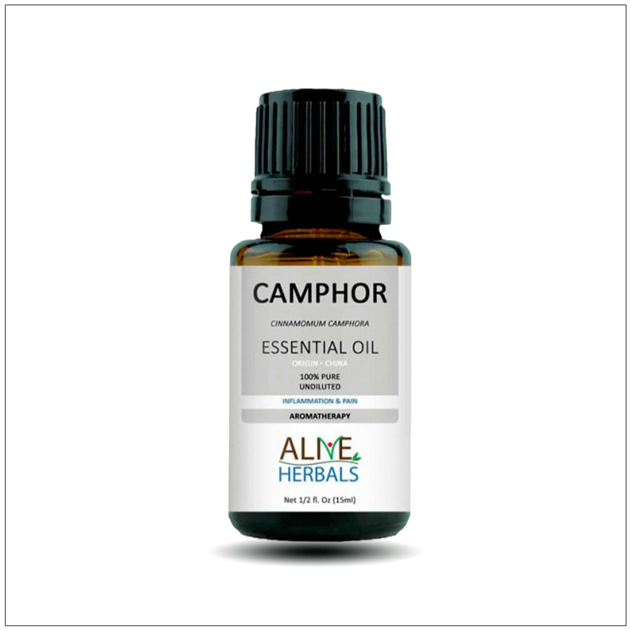 Camphor Essential Oil