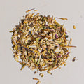 ECHINACEA PURPUREA