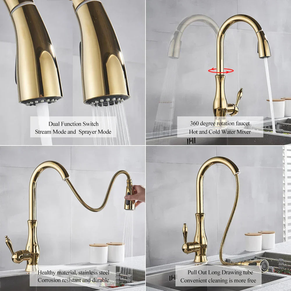 DecorBites™ Gold Swivel Spout Kitchen Faucet with Pull Down Sprayer