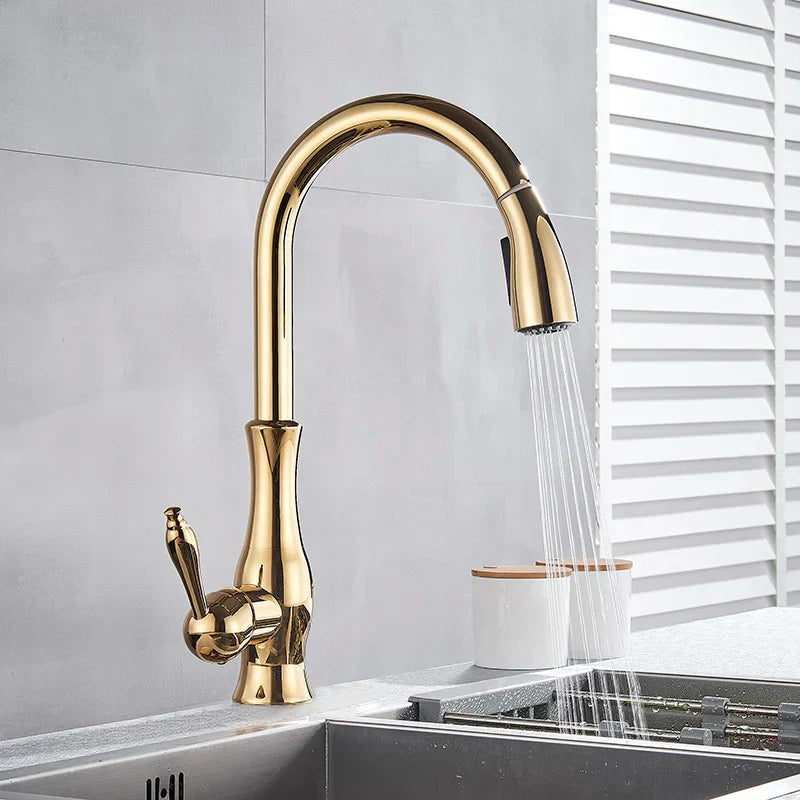 DecorBites™ Gold Swivel Spout Kitchen Faucet with Pull Down Sprayer