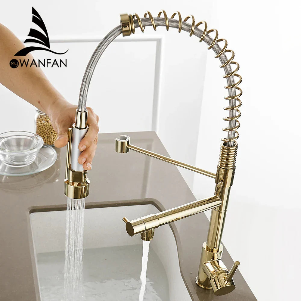 DecorBites™ Gold Spring Spout Kitchen Faucet - Single Pull Out Mixer Tap