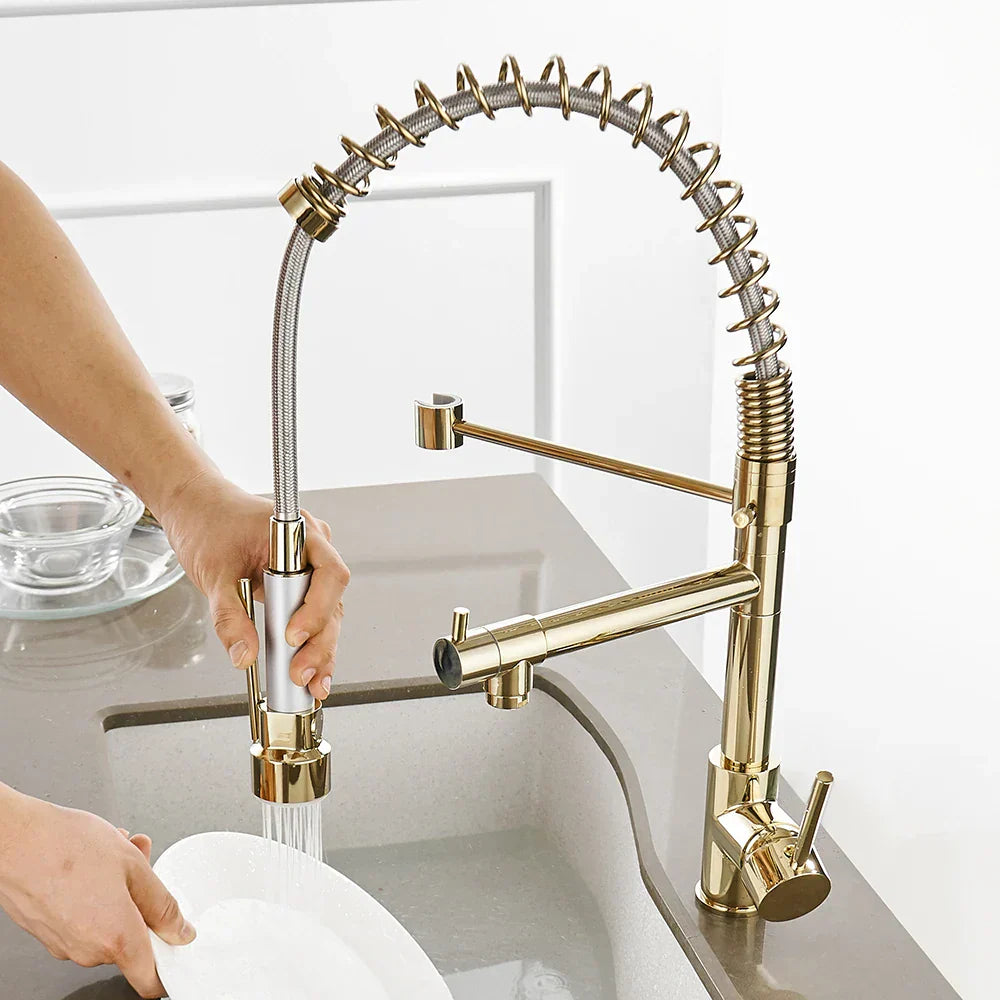 DecorBites™ Gold Spring Spout Kitchen Faucet - Single Pull Out Mixer Tap
