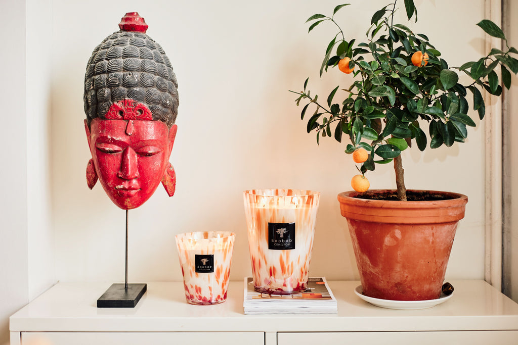 Baobab Collection Coral Pearls Max 16 Candle