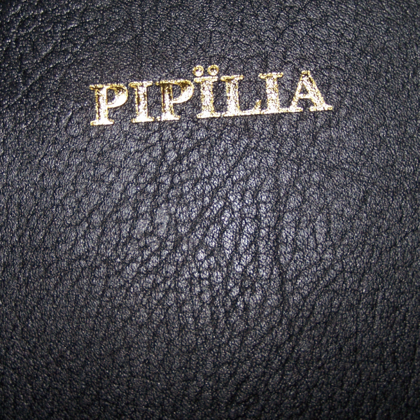 PIPILIA: POKOT BIBLE