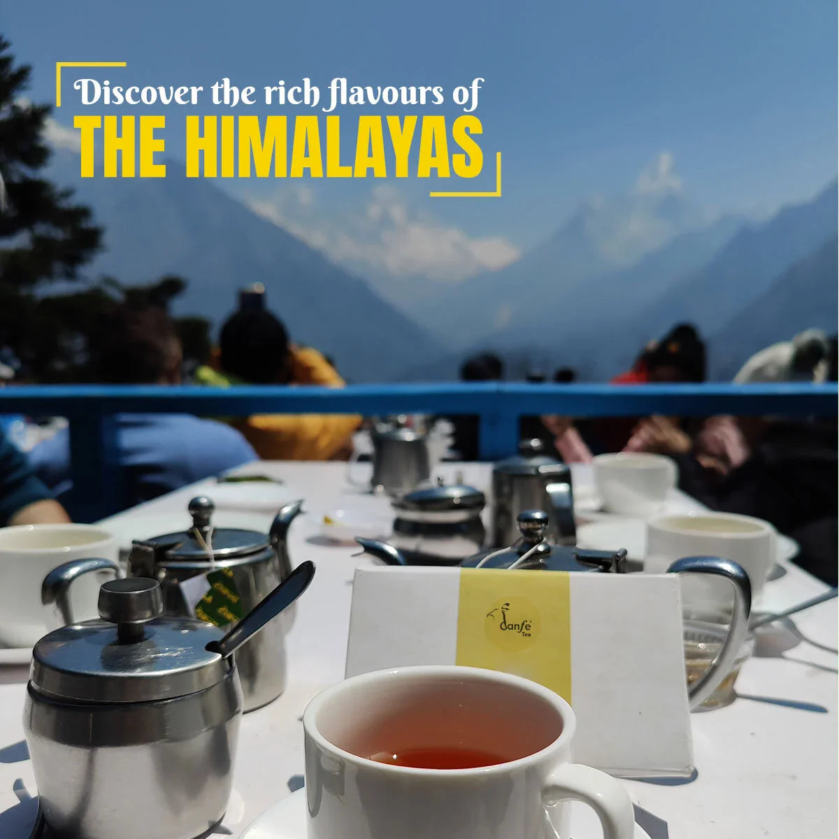 Himalayan Loose Leaf Tea Sampler - Assortment - XI