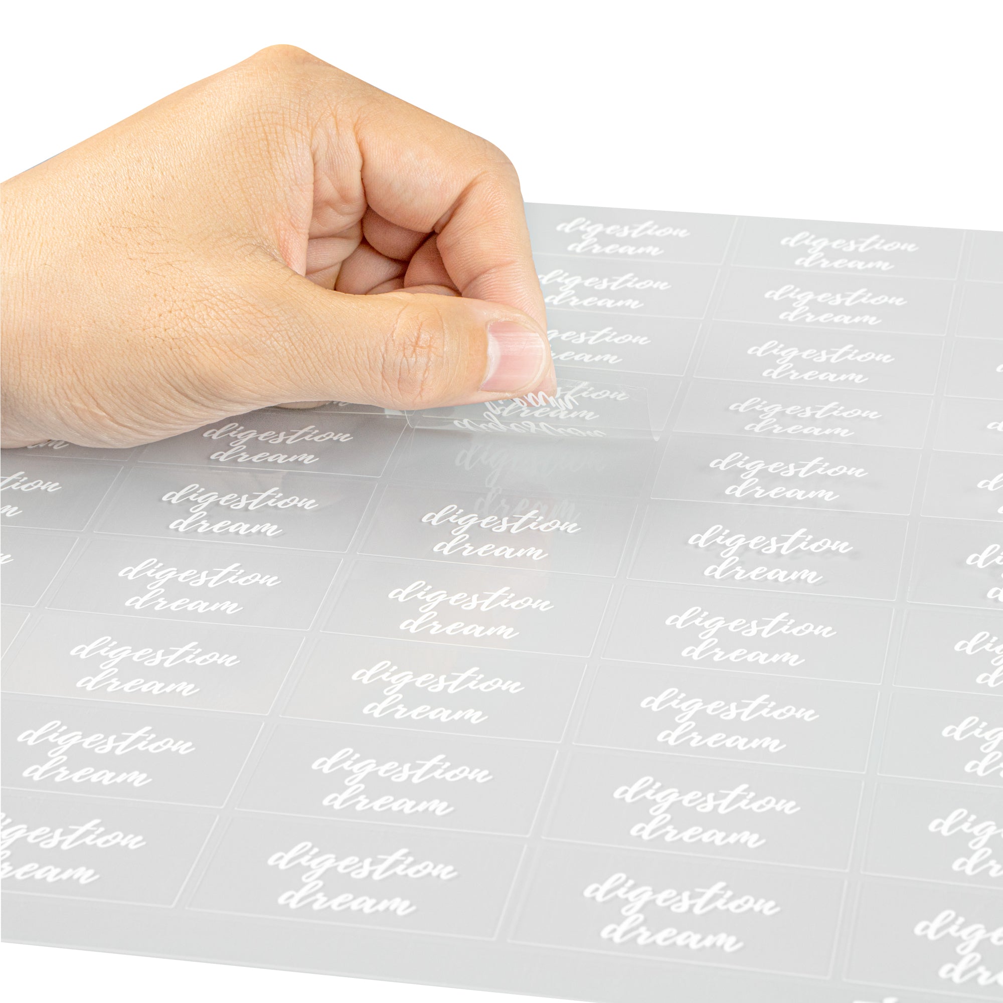 Label Tek Plastic Digestion Dream Label - Clear with White Font, Water-Resistant - 2" x 1" - 100 count box
