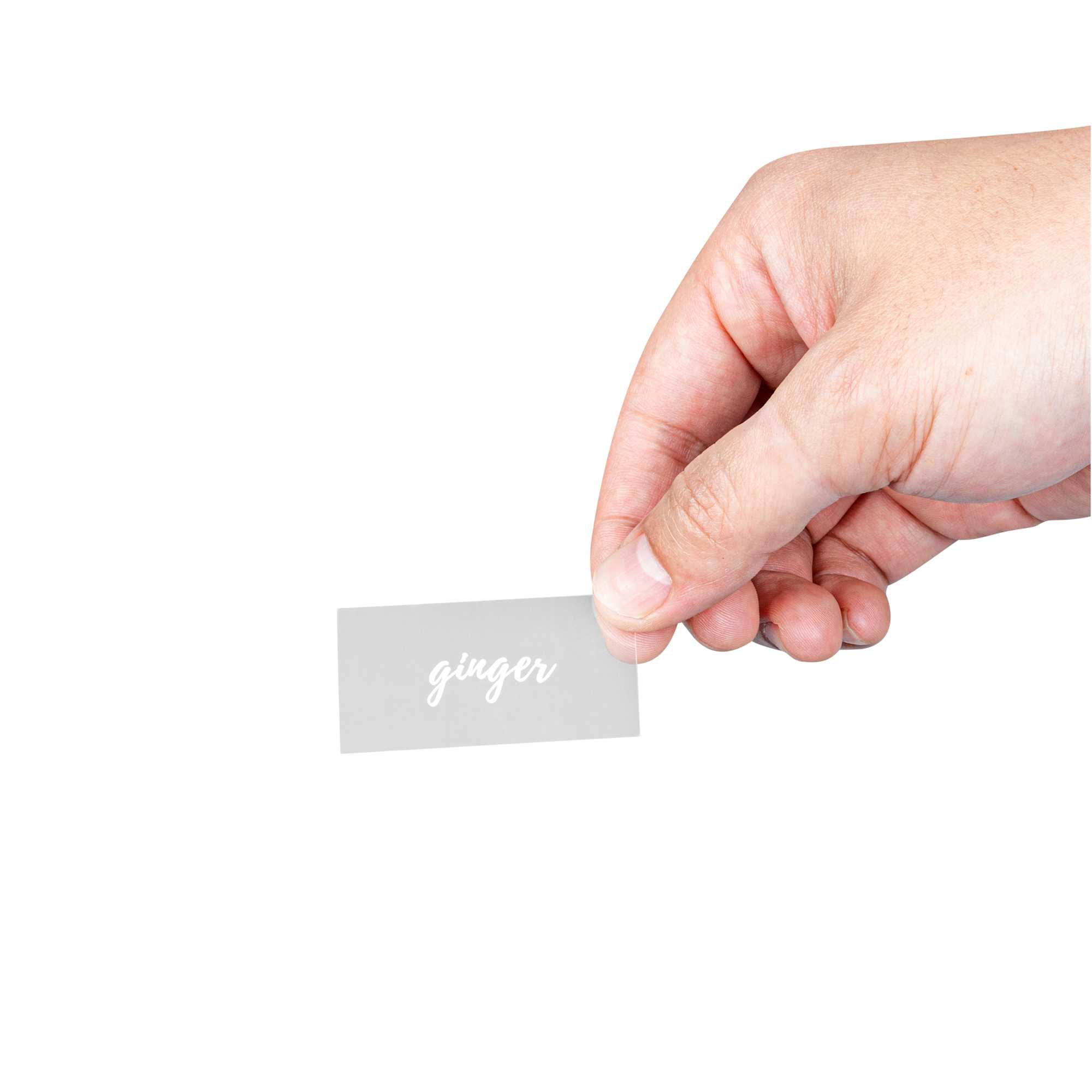 Label Tek Plastic Ginger Label - Clear with White Font, Water-Resistant - 2" x 1" - 100 count box