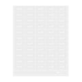 Label Tek Plastic Carrot Label - Clear with White Font, Water-Resistant - 2" x 1" - 100 count box
