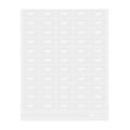Label Tek Plastic Veggie Label - Clear with White Font, Water-Resistant - 2" x 1" - 100 count box