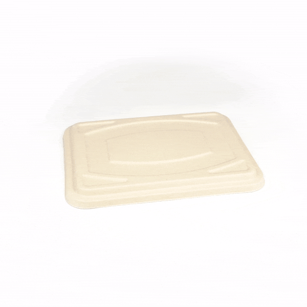 Pulp Tek Rectangle Natural Bagasse Flat Lid - Fits To Go Trays - 100 count box