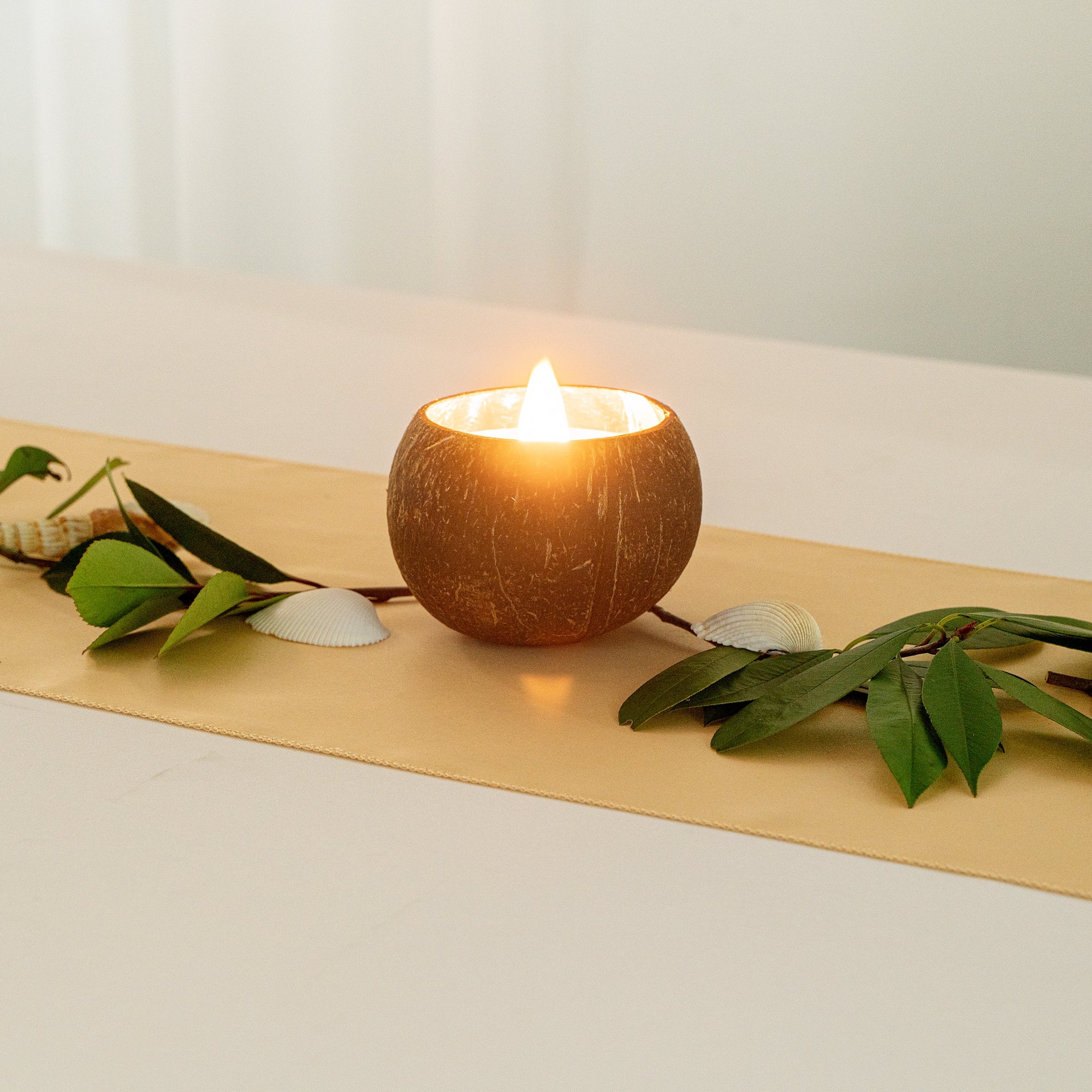 Coco Casa Handmade Coconut Shell Candle - Jasmine - 4" x 4" x 2 3/4" - 1 count box