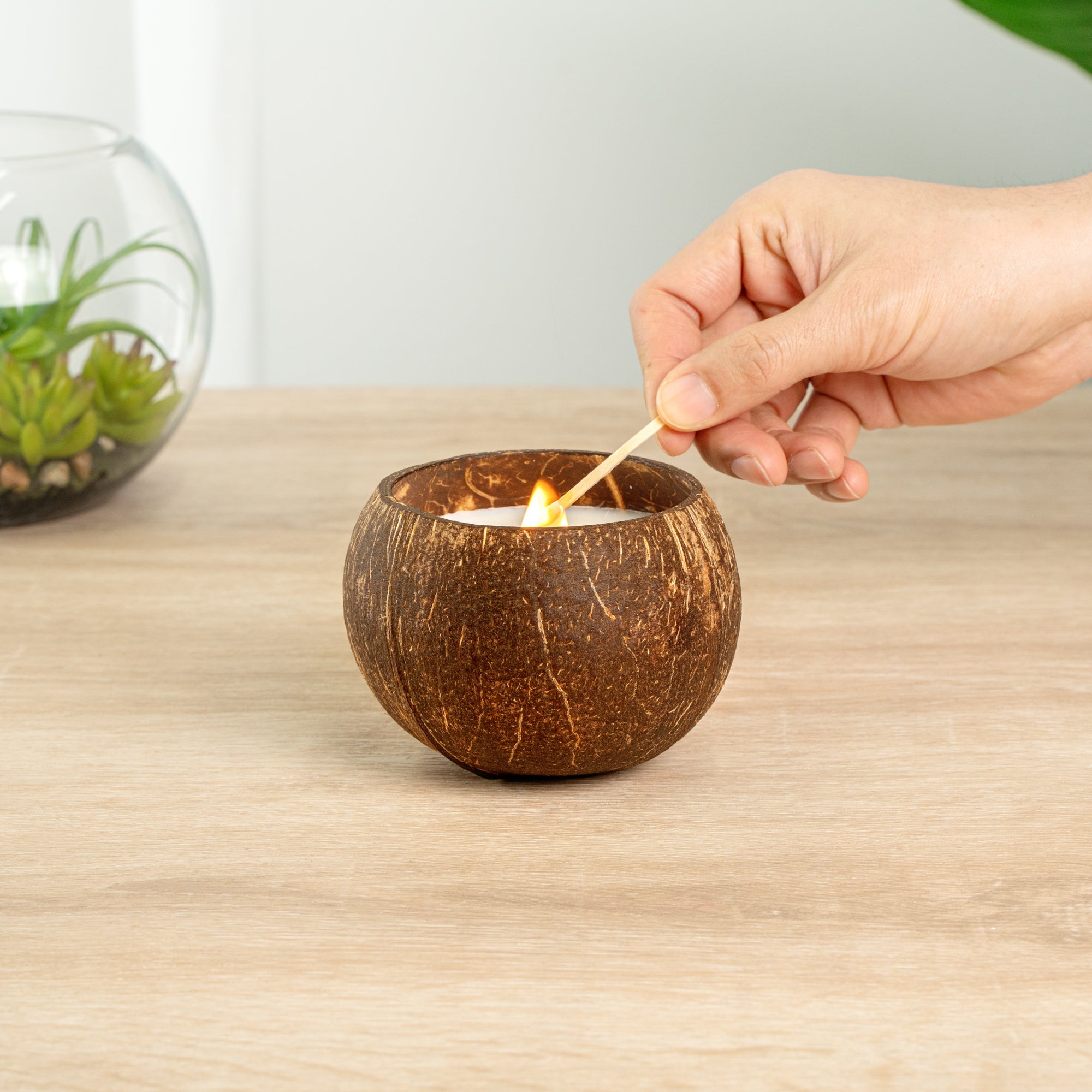 Coco Casa Handmade Coconut Shell Candle - Cinnamon - 4" x 4" x 2 3/4" - 10 count box