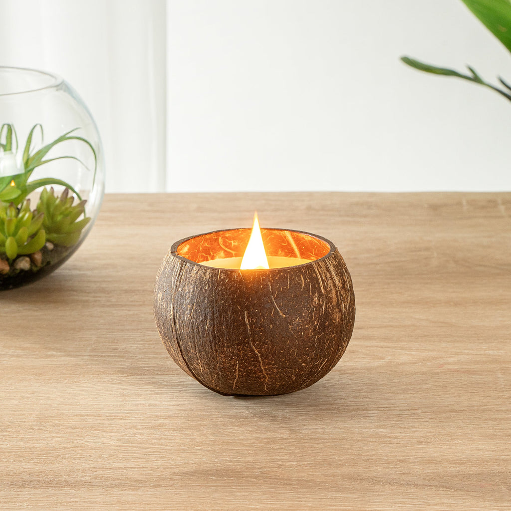 Coco Casa Handmade Coconut Shell Candle - Mint Leaf and Eucalyptus - 4" x 4" x 2 3/4" - 1 count box