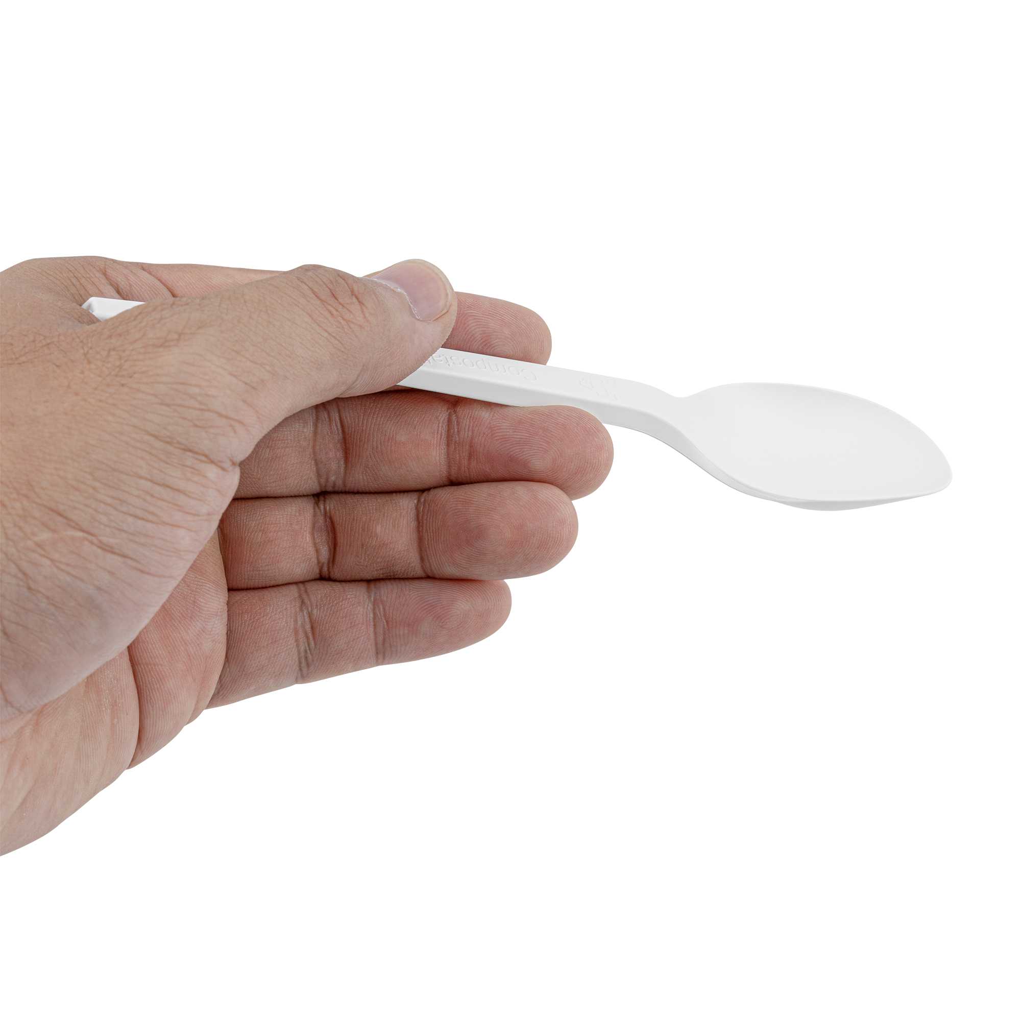 Basic Nature White CPLA Plastic Spoon - Compostable Wrapper, Heat-Resistant - 6 1/2" - 250 count box