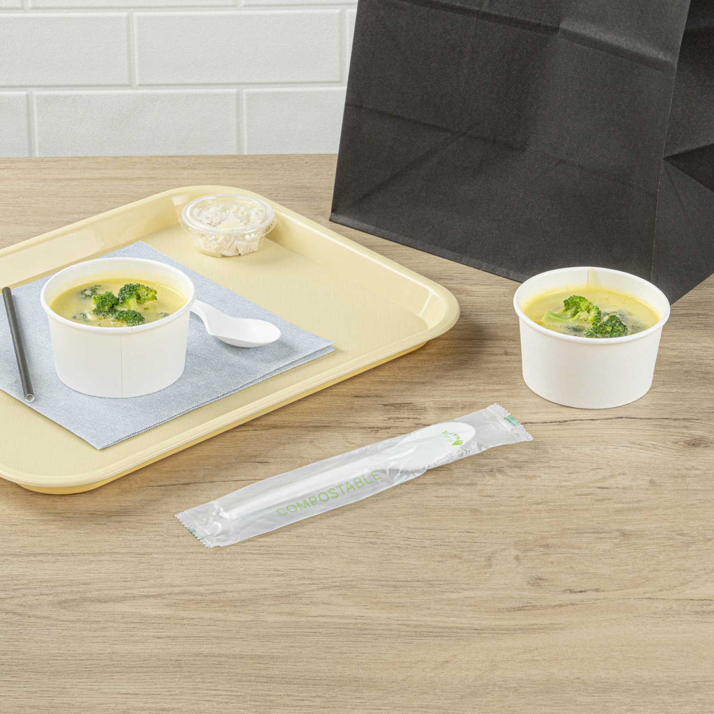 Basic Nature White CPLA Plastic Spoon - Compostable Wrapper, Heat-Resistant - 6 1/2" - 250 count box