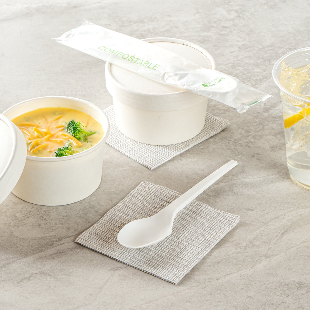 Basic Nature White CPLA Plastic Spoon - Compostable Wrapper, Heat-Resistant - 6 1/2" - 250 count box