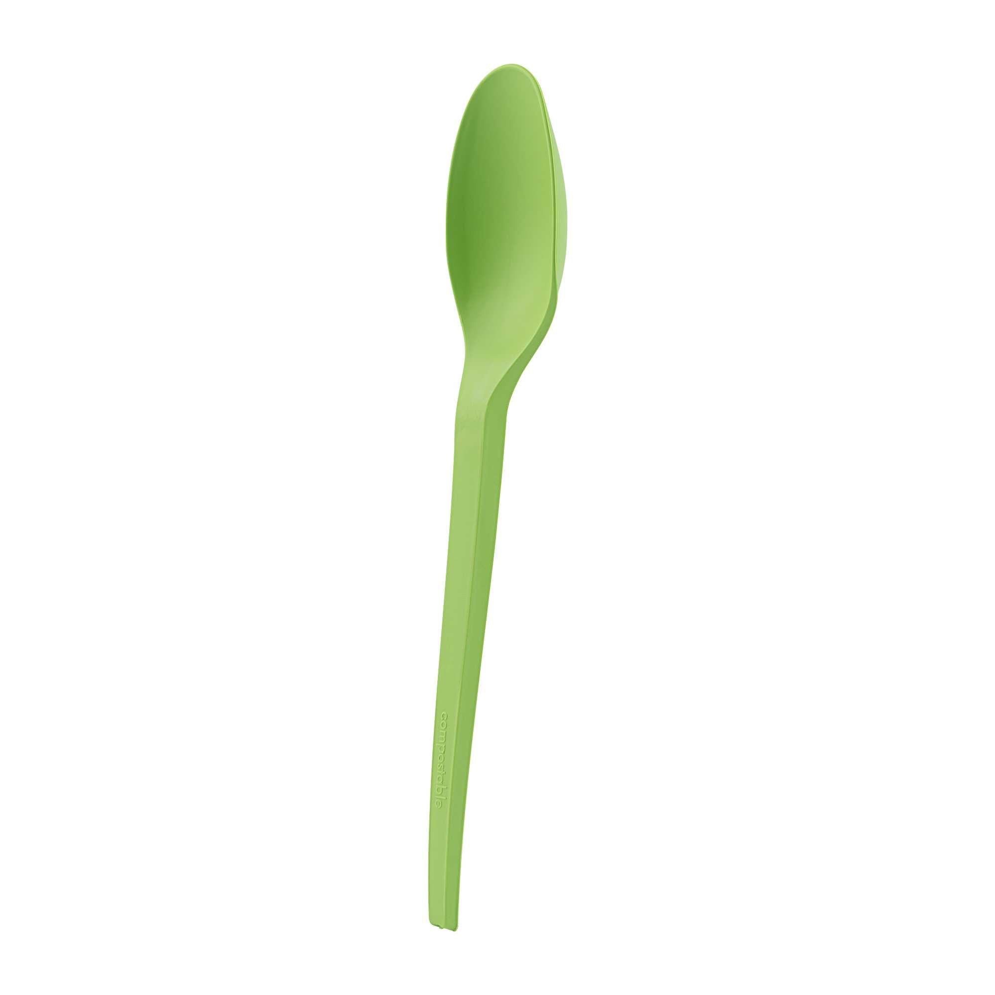 Basic Nature Green CPLA Plastic Spoon - Compostable Wrapper, Heat-Resistant - 6 1/2" - 250 count box