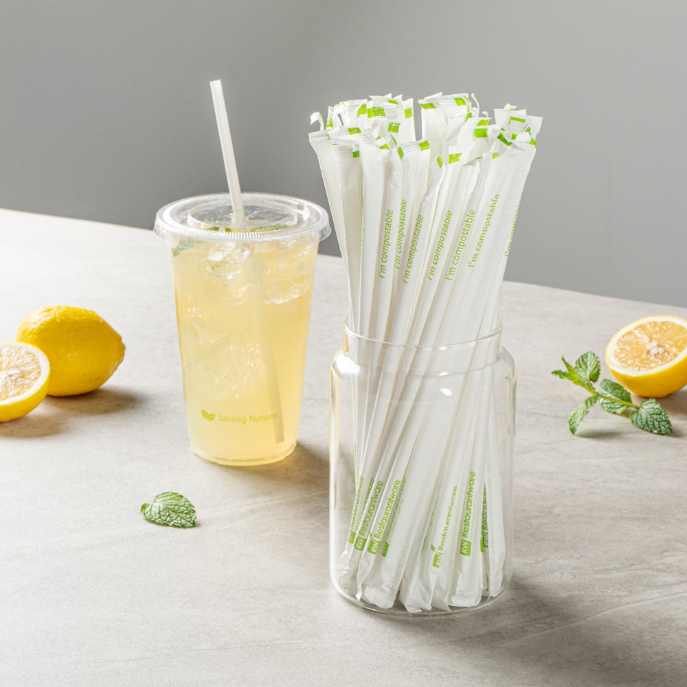 Basic Nature White PLA / PBAT Plastic Straw - Wrapped, Compostable - 8 1/4" - 2000 count box