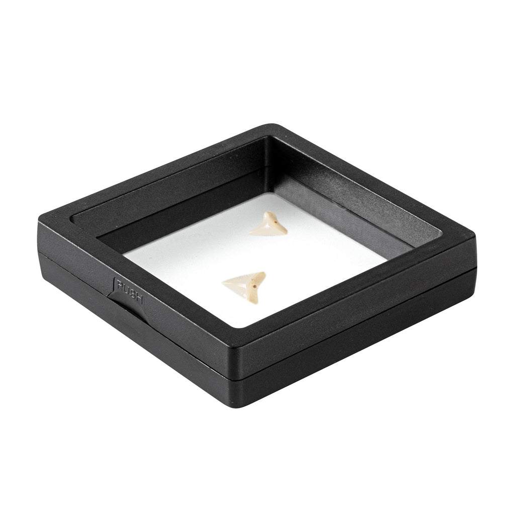 Display Tek Square Black Plastic 3D Floating Display Case - 3 1/2" x 3 1/2" x 3/4" - 10 count box