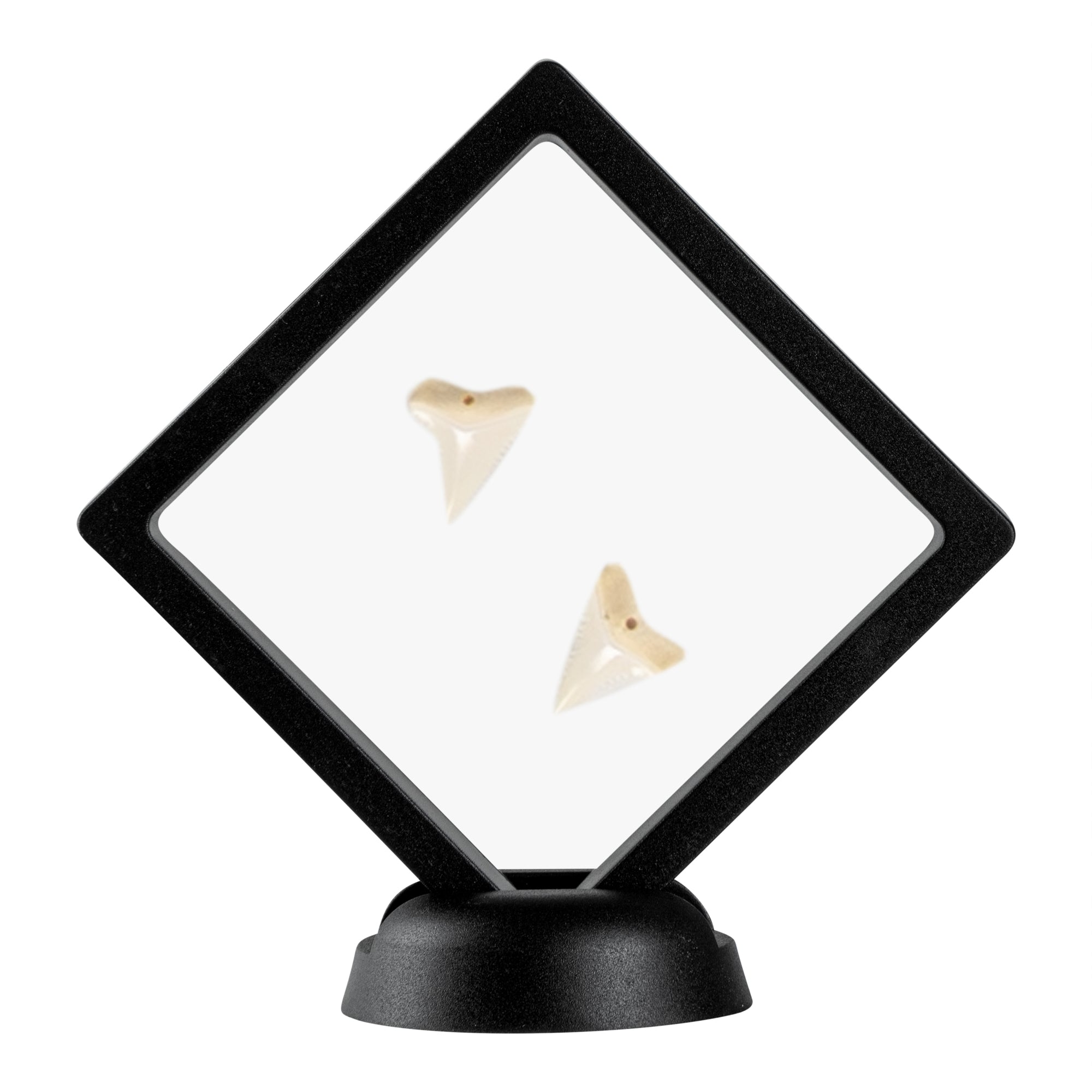 Display Tek Square Black Plastic 3D Floating Display Case - 3 1/2" x 3 1/2" x 3/4" - 10 count box
