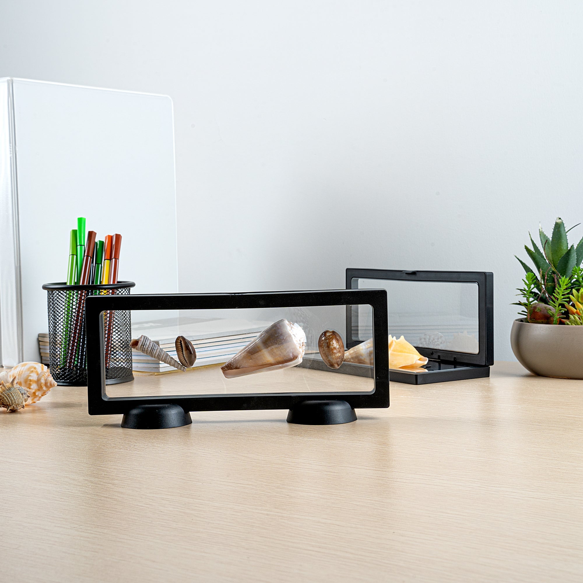 Display Tek Rectangle Black Plastic 3D Floating Display Case - 9" x 3 1/2" x 3/4" - 10 count box