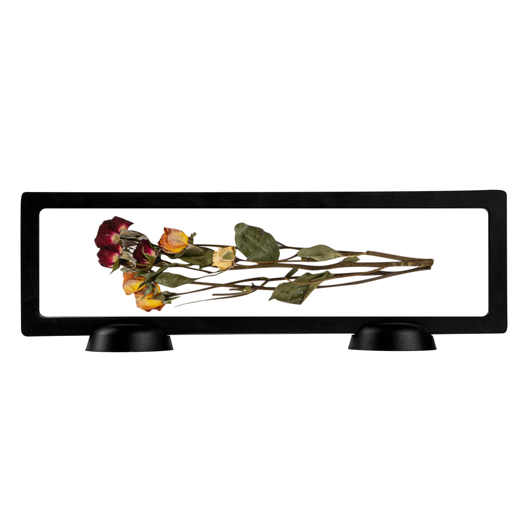 Display Tek Rectangle Black Plastic 3D Floating Display Case - 11 3/4" x 3 1/2" x 3/4" - 10 count box