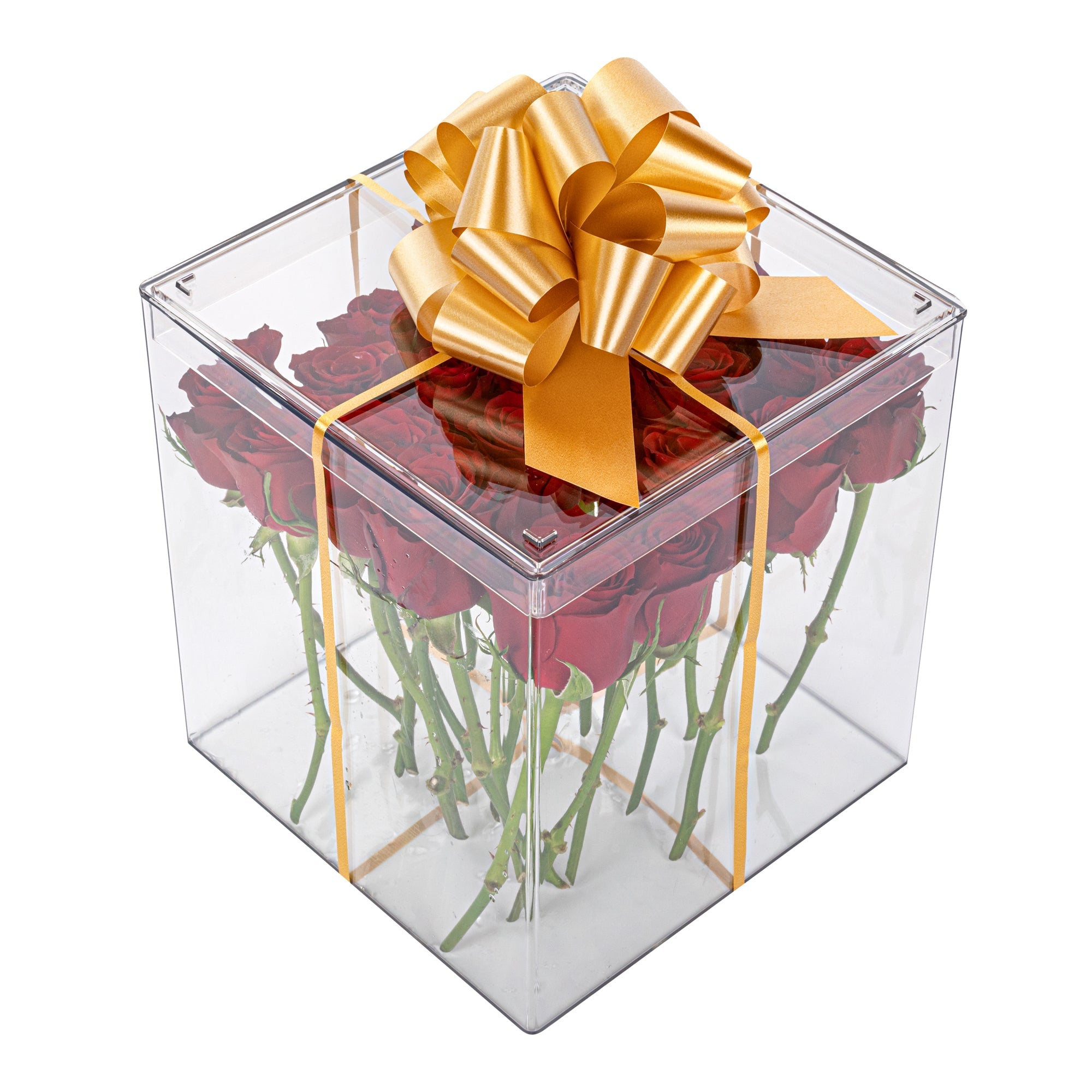 Gift Tek Gold Plastic Flora Satin Pull Bow - 5 1/2" - 10 count box