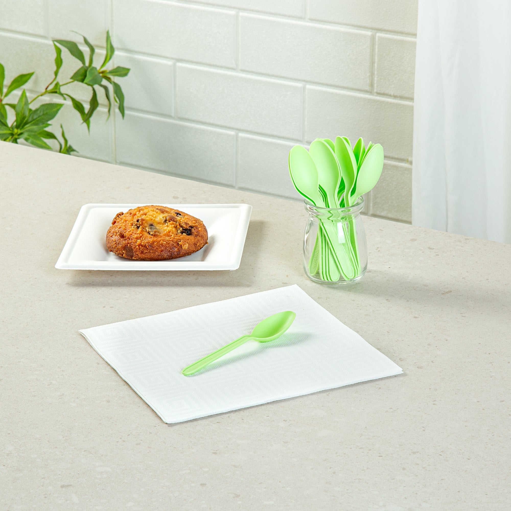 Basic Nature Green CPLA Plastic Dessert Spoon - Heat-Resistant, Compostable - 4" - 1000 count box
