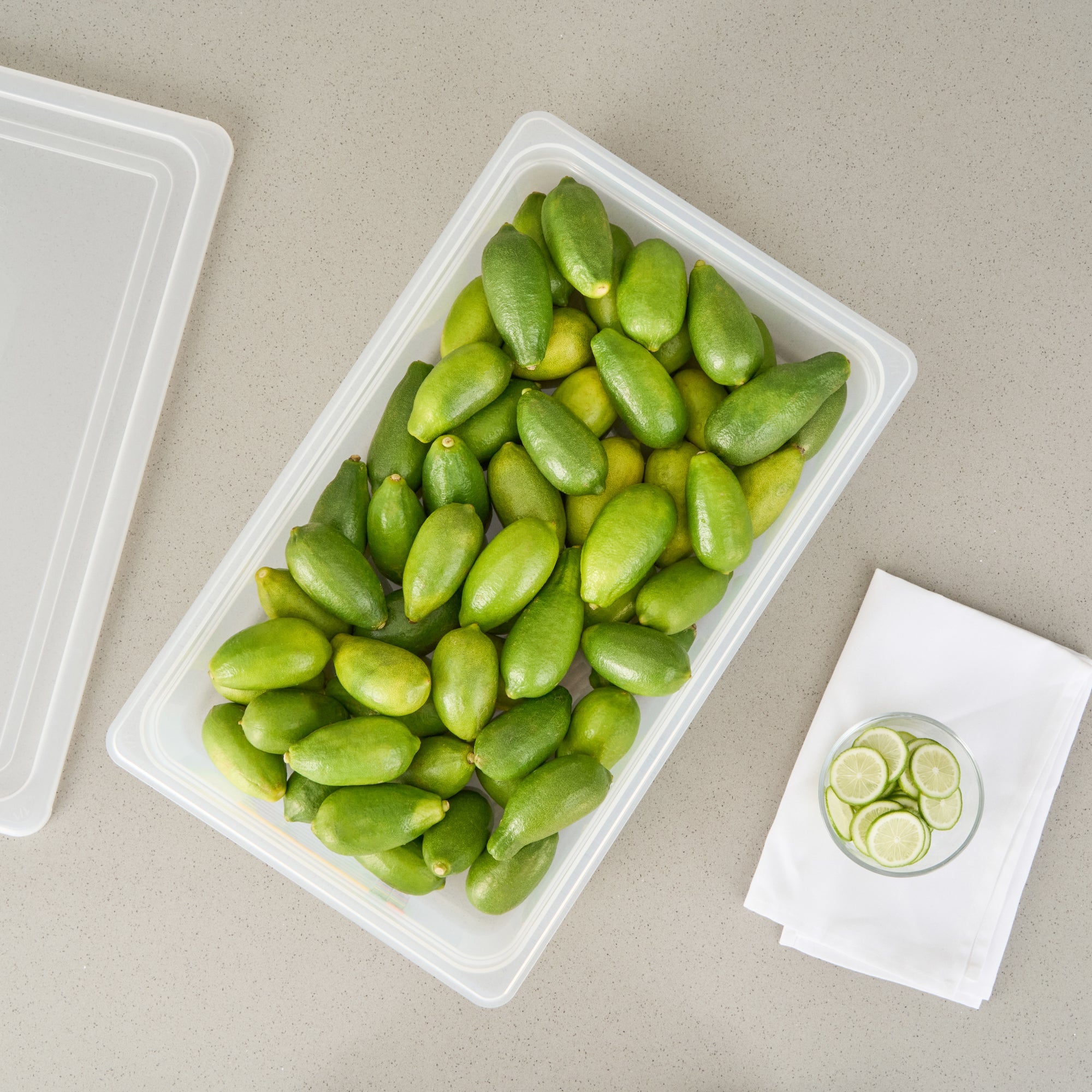 Met Lux Rectangle White Polypropylene Full Size Food Pan - 4" Deep, with Label - 10 count box