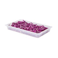 Met Lux Rectangle White Polypropylene Full Size Food Pan - 2.5" Deep, with Label - 10 count box
