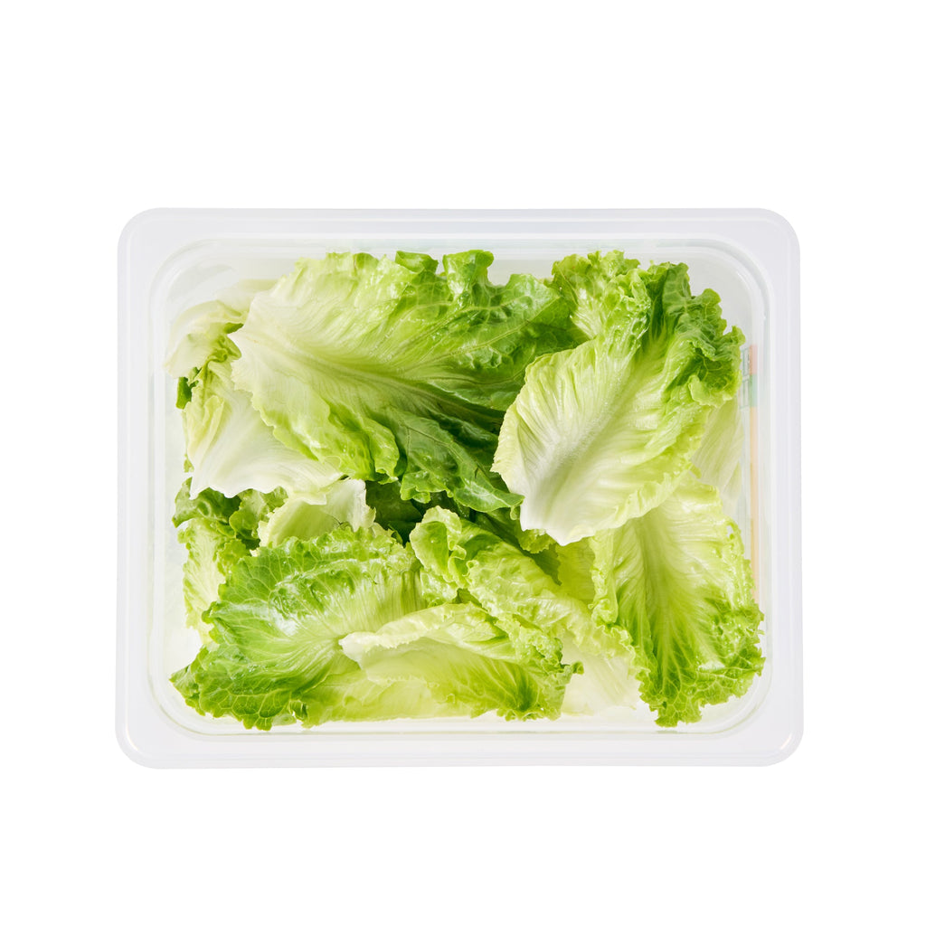 Met Lux Rectangle White Polypropylene Half Size Food Pan - 6" Deep, with Label - 10 count box
