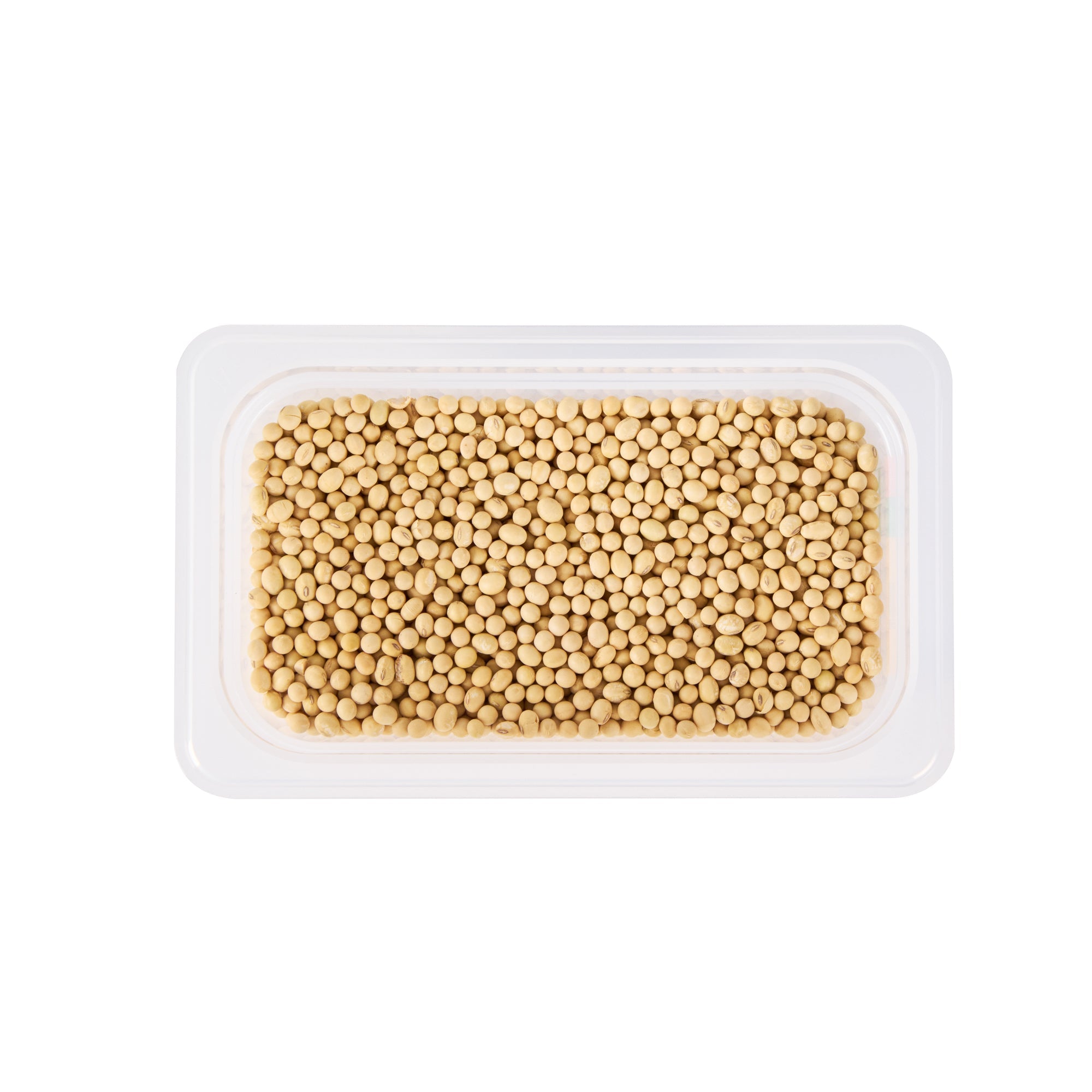 Met Lux Rectangle White Polypropylene 1/4 Size Food Pan - 6" Deep, with Label - 10 count box