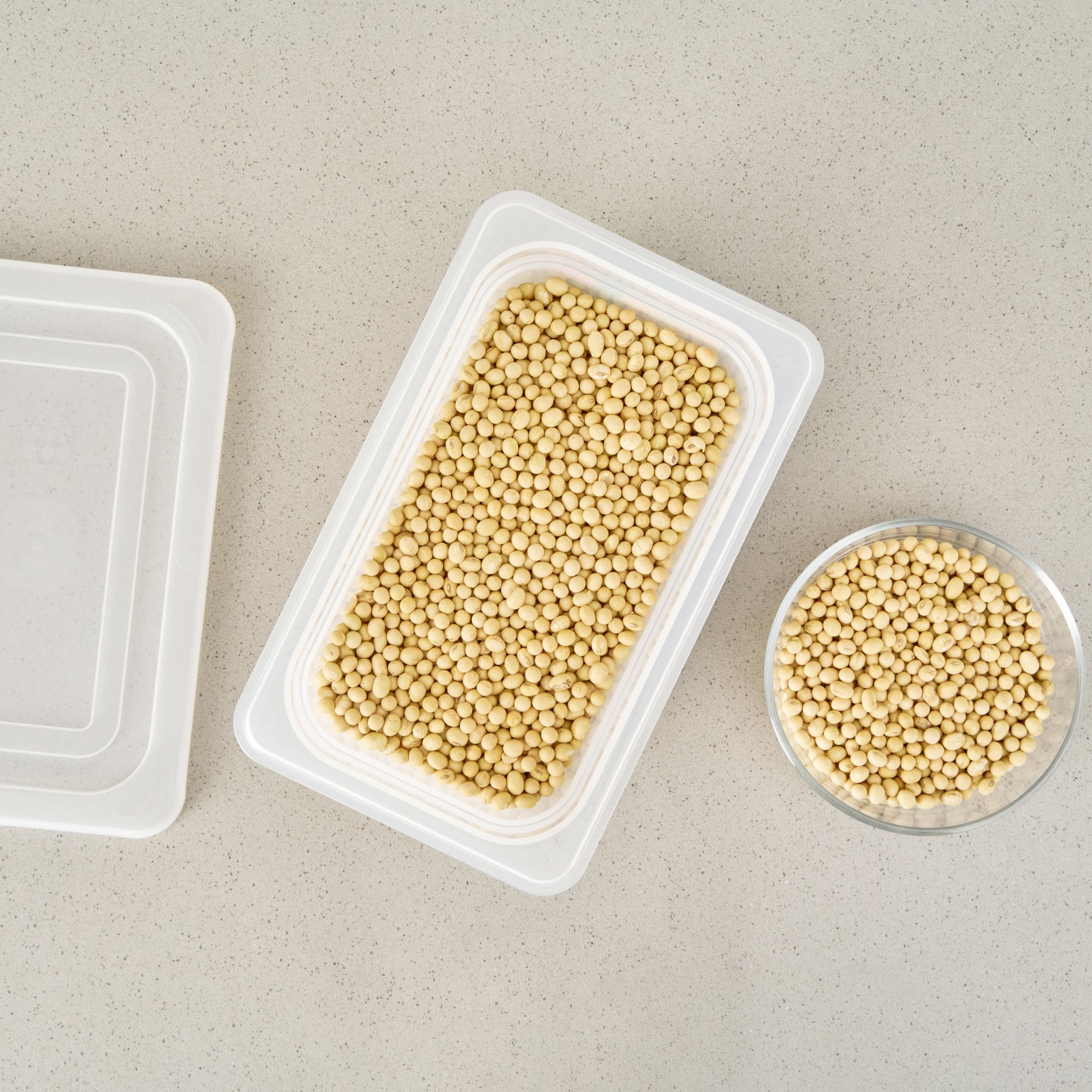 Met Lux Rectangle White Polypropylene 1/4 Size Food Pan - 6" Deep, with Label - 10 count box