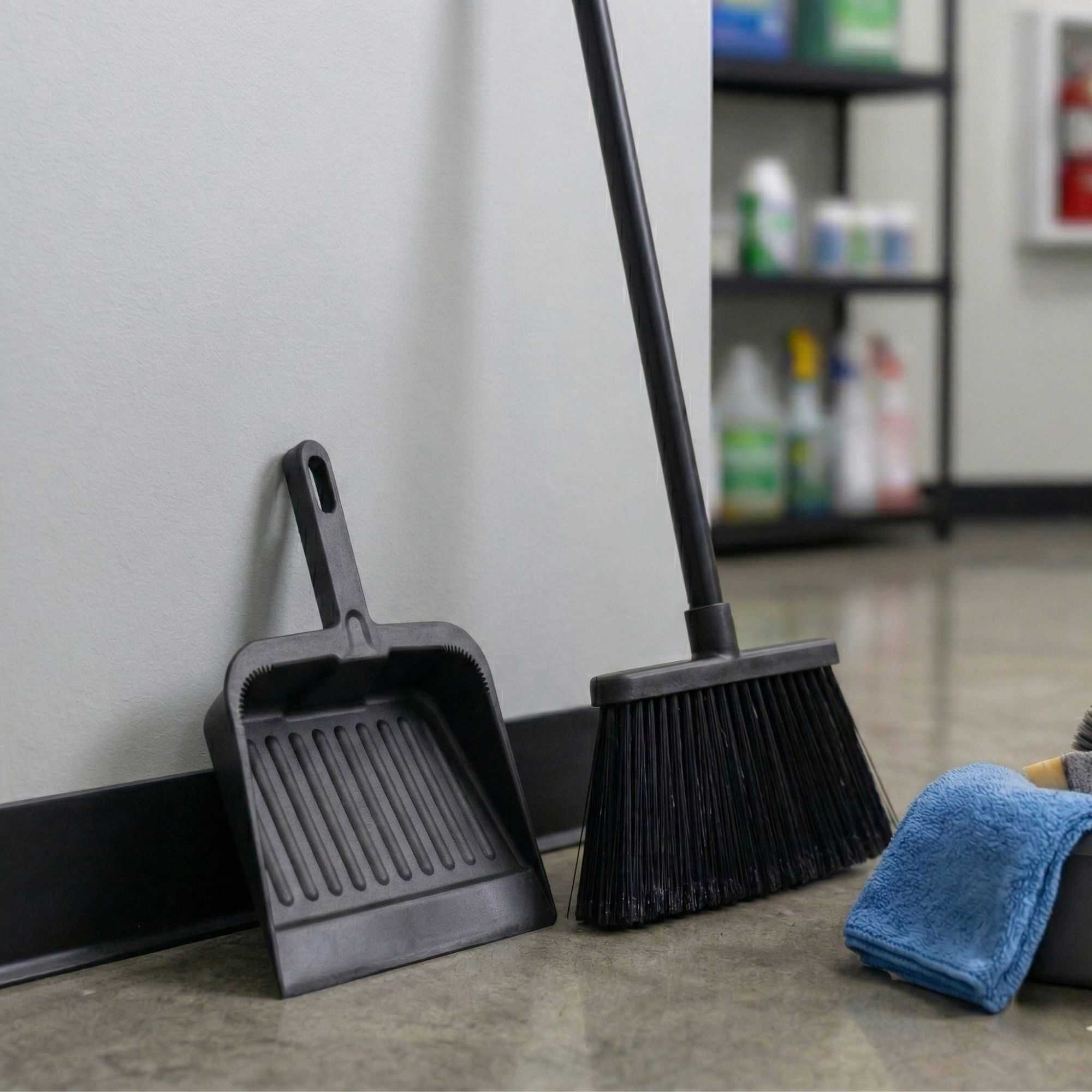 RW Clean Black Plastic Handheld Dustpan - 13" x 12" x 2 3/4" - 1 count box