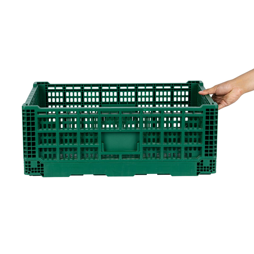 Cater Tek Rectangle Green Plastic 36L Collapsible Milk Crate - Stackable - 23 1/2" x 15 3/4" x 8 1/2" - 1 count box