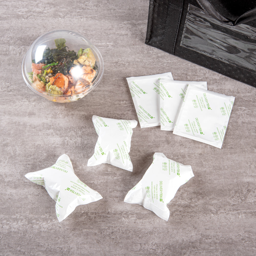 Delivery Tek Plastic Shipping Ice Pack - 5" x 3 3/4" - 100 count box