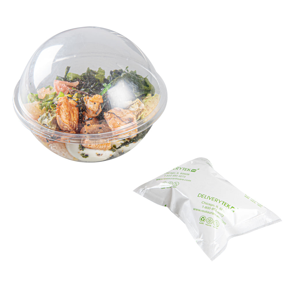 Delivery Tek Plastic Shipping Ice Pack - 5" x 3 3/4" - 100 count box