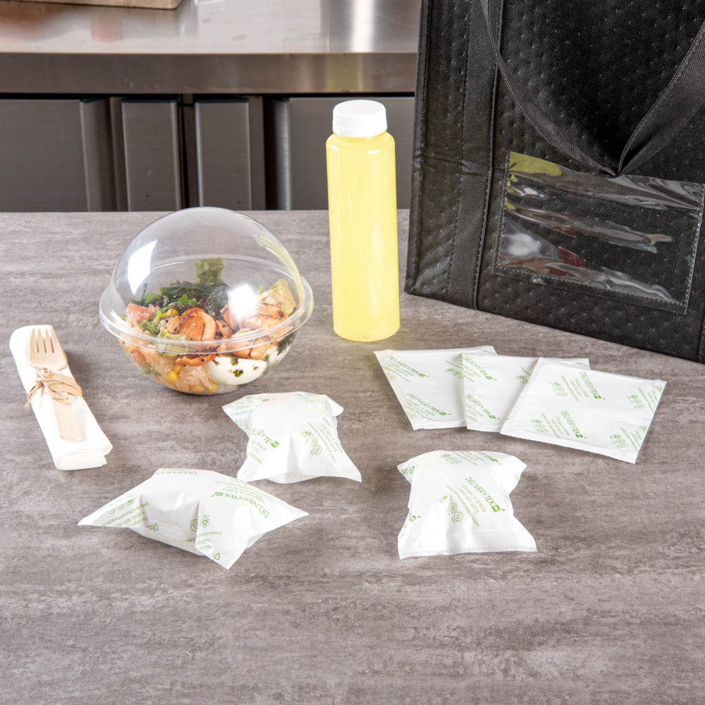 Delivery Tek Plastic Shipping Ice Pack - 5" x 3 3/4" - 100 count box